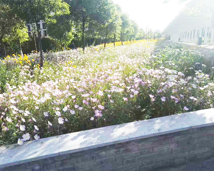 園林綠化的這些好處，你知道嗎？