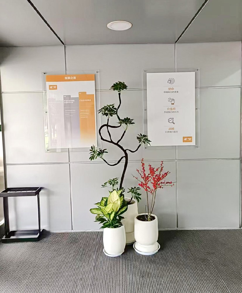 盆景租賃