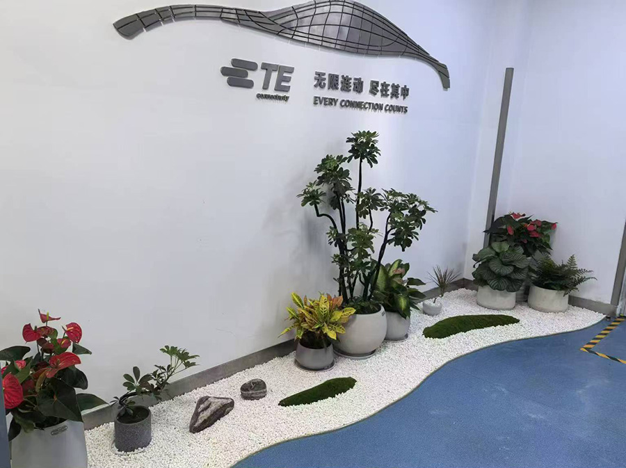 盆栽租賃